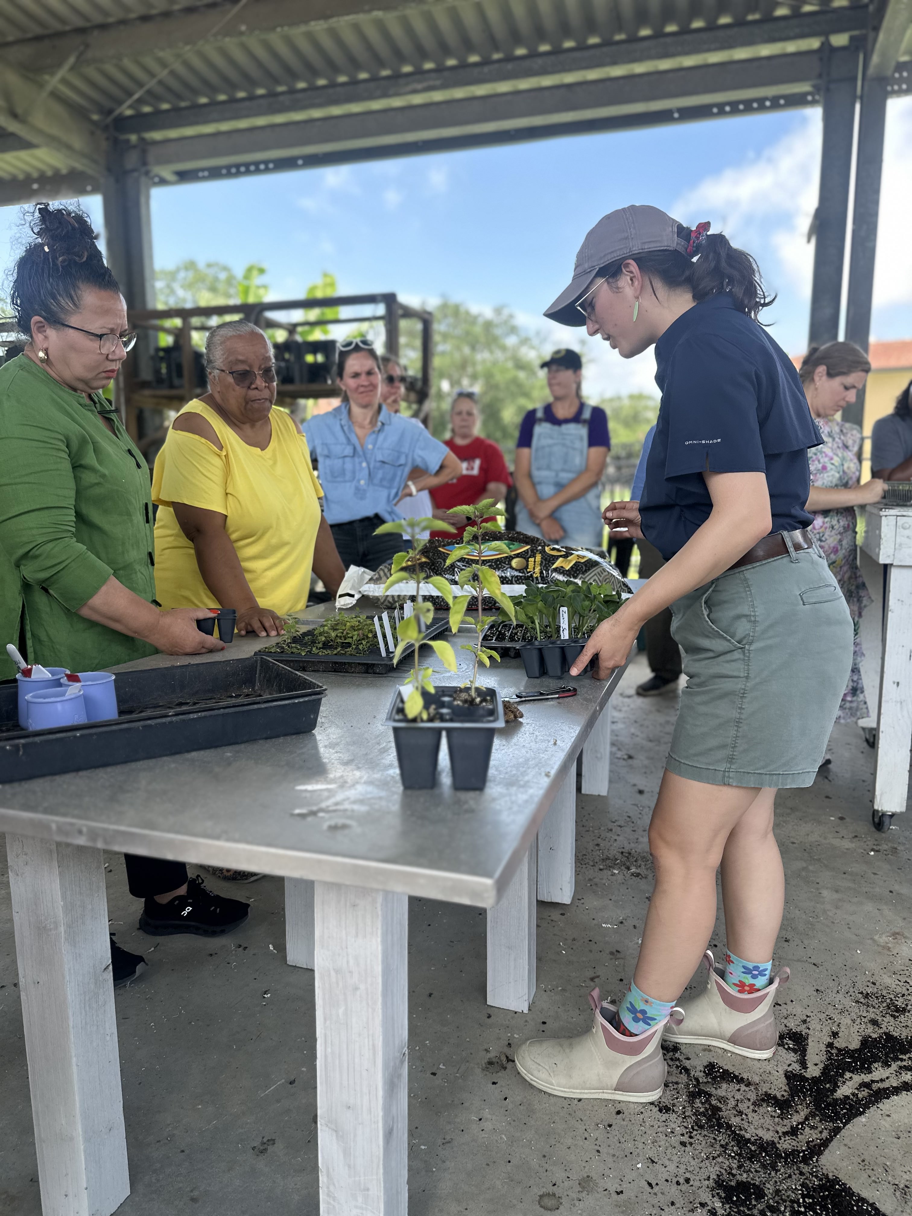 LSU AgCenter workshop trains educators to bring school gardens into the classroom  